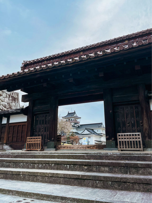 【富山】周りに咲く季節の花が素敵なお城