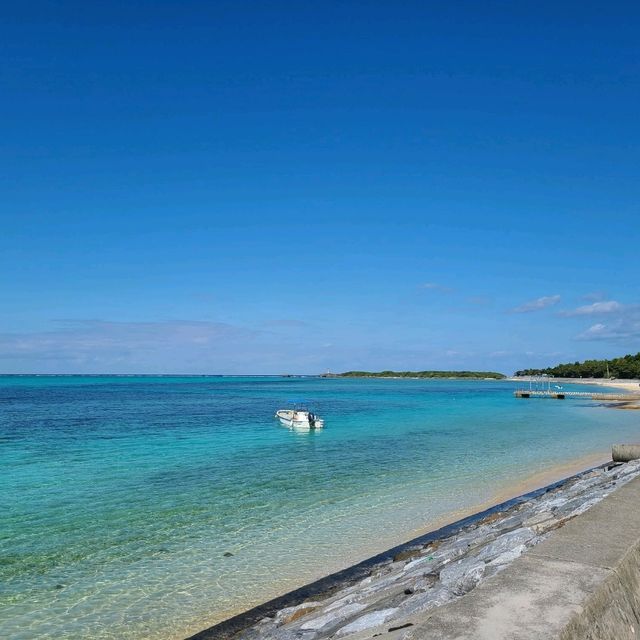 【沖縄】自然豊かな沖縄らしいスポット⭐備瀬のフクギ並木⭐