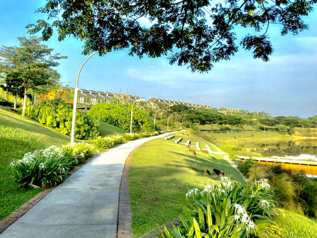 Elmina Valley - Central Park