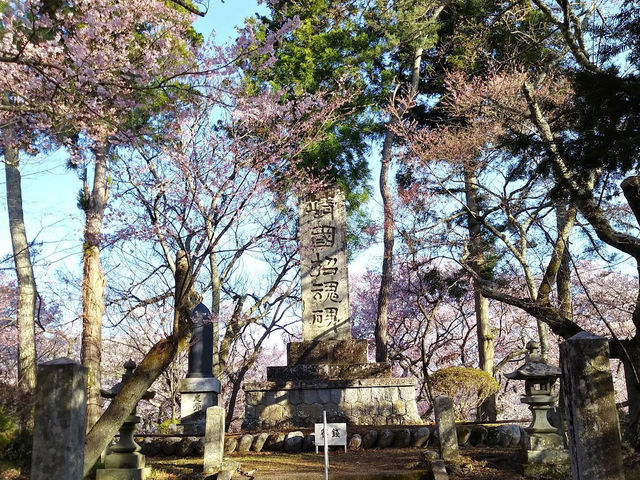 【長野】🌸高遠城址公園：春季櫻花盛開，絕美景緻不可錯過