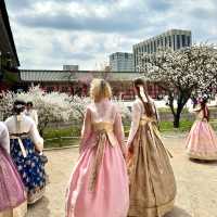 Hanbok: Gyeongbokgung Palace 🌸 