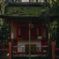 多賀大社：古老神社，幽靜祥和的神域之鄉
