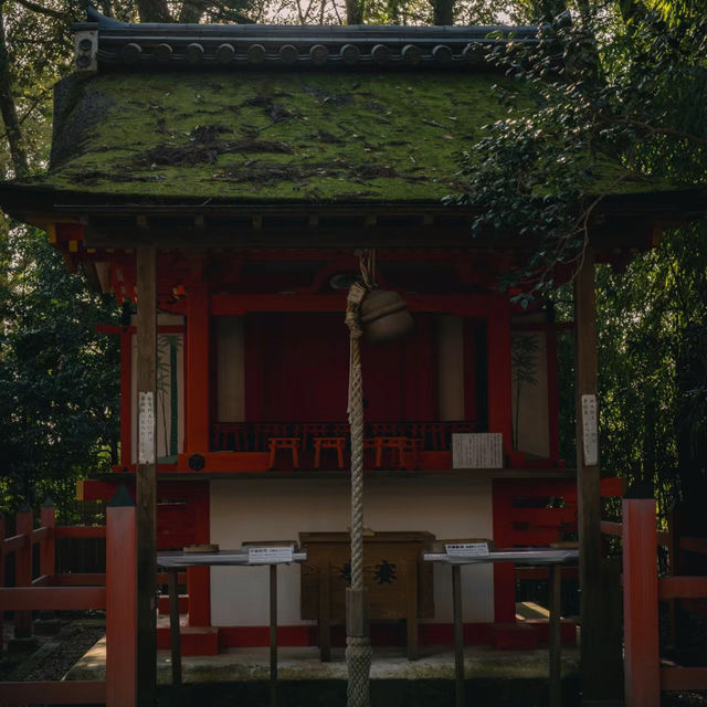 多賀大社：古老神社，幽靜祥和的神域之鄉