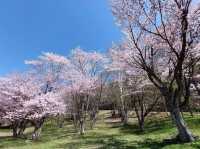 Asahigaoka Park