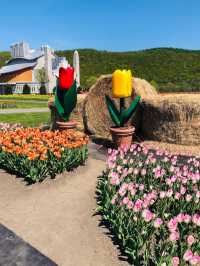 Kamiyubetsu Tulip Park