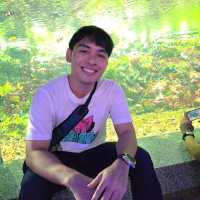 ชมแมงกะพรุนเรืองแสง @บางแสน