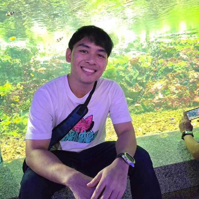 ชมแมงกะพรุนเรืองแสง @บางแสน