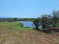 【高雄景點】舊鐵橋濕地生態公園：歷史古蹟，豐富生態，適合親子和攝影愛好者