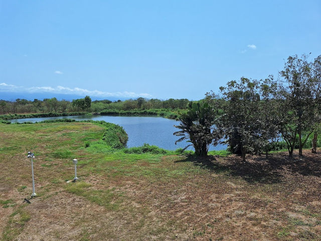【高雄景點】舊鐵橋濕地生態公園：歷史古蹟，豐富生態，適合親子和攝影愛好者