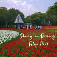 Daning Park ชมทุ่งดอกทิวลิปขนาดใหญ่ในเซี่ยงไฮ้