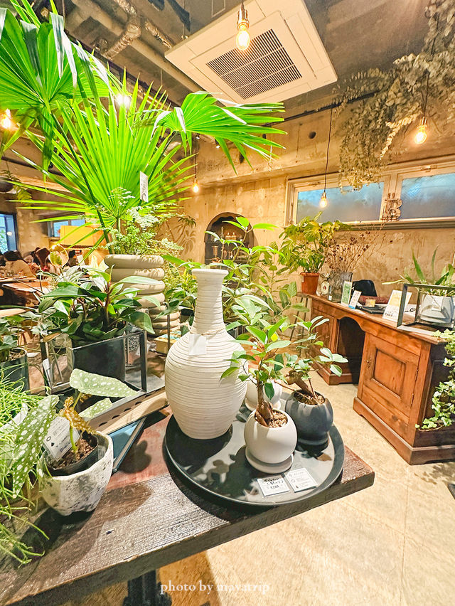 【東京】カフェ×観葉植物の大人カフェ