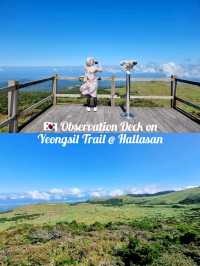🇰🇷 Observation Deck on Yeongsil Trail @ Hallasan