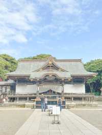 【茨城/ひたちなか】おとぎ話にでてきるような木みたい🌳