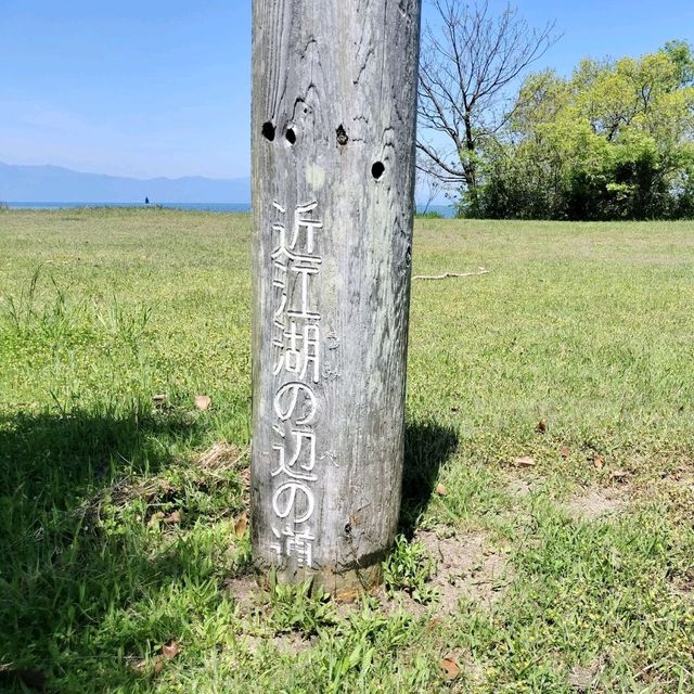 滋賀でキャンプ✨琵琶湖のほとりで無料でキャンプできるちゃう！