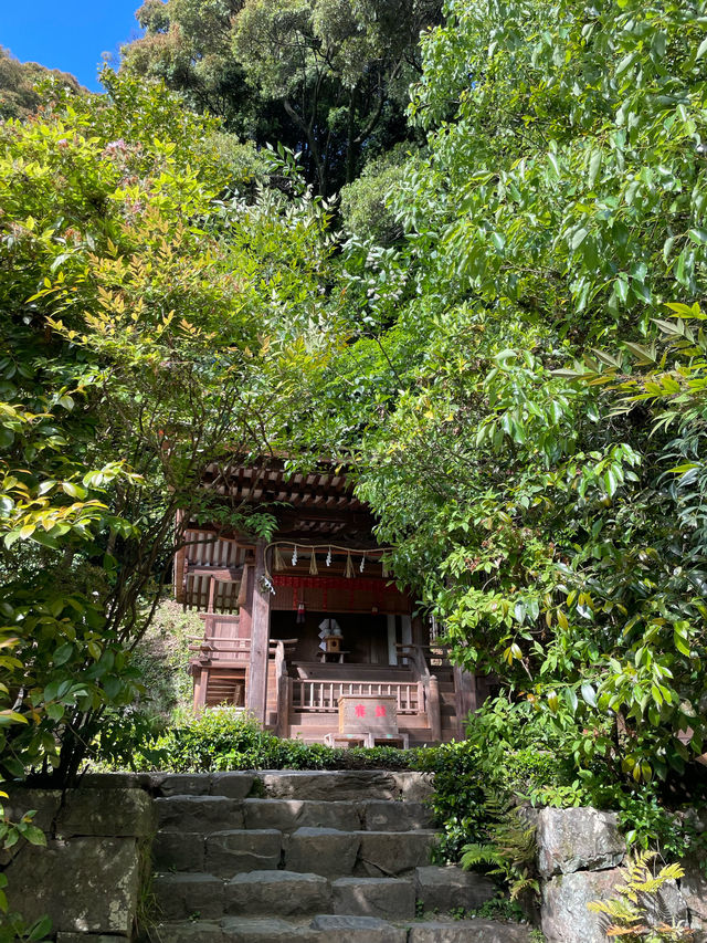 【京都府】世界文化遺産「宇治上神社」を参拝！