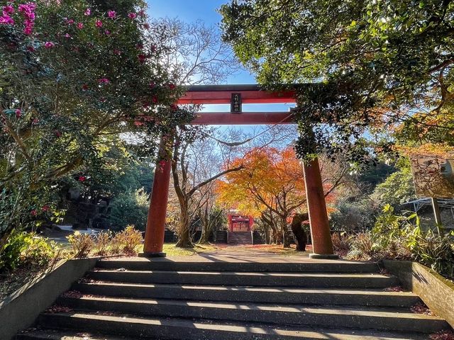 【鹿児島】空を飛んでいるように見える絶景「天」望台