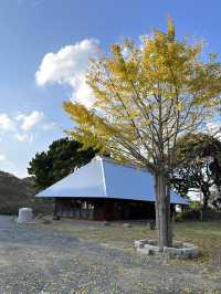 【山口カフェ】角島大橋展望台から徒歩5分！海が見える丘の四季の茶屋🍵