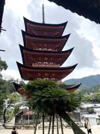 【広島観光】初めての宮島観光⛩厳島神社の大鳥居に感激⛩
