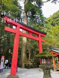 【神奈川 箱根】箱根のパワースポット⛩️箱根神社