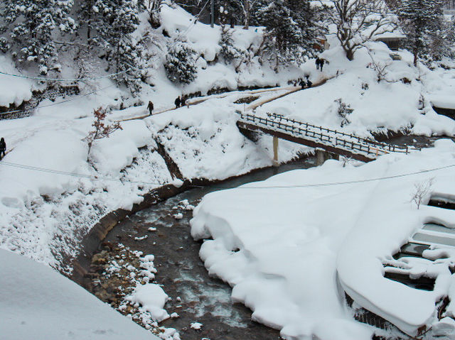 Cute Snow Monkeys at Snow Monkey Park, Nagano, Japan 🇯🇵