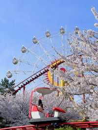 🎡16,000원 내고 하늘자전거만 타고 온 썰,,, 이거 맞아?,,,