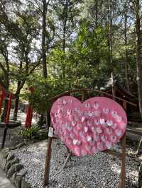 【福岡神社】日本一の大縄のある神社⛩光の道も有名なところです✨
