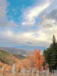 【山梨】神社好きは絶対行くべき🤍その名も天空の鳥居