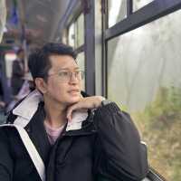 อุทยานแห่งชาติอาลีซาน นั่งรถไฟชมวิวป่าสนพันปี