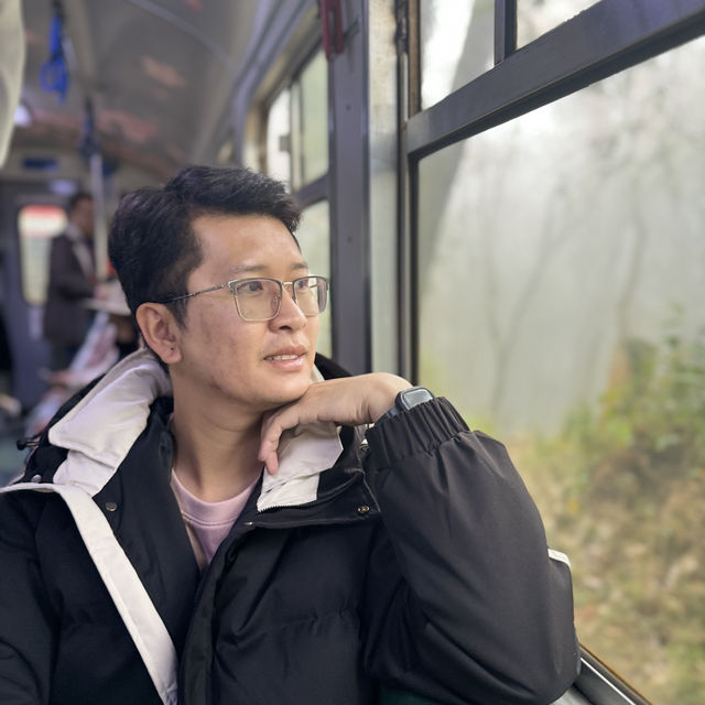 อุทยานแห่งชาติอาลีซาน นั่งรถไฟชมวิวป่าสนพันปี