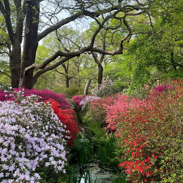 大恩公園：自然景觀，春天好去處