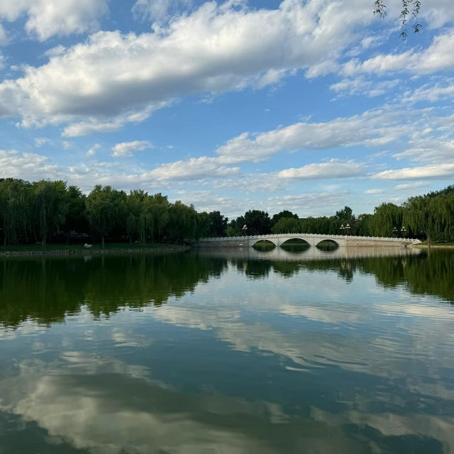 「府山公園：自然美景，多彩活動，春天好去處」