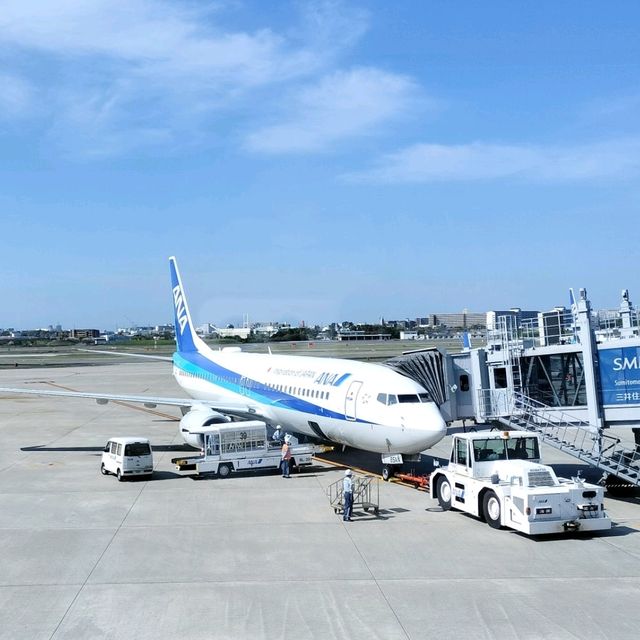 夏旅は東京へ行こう💠伊丹空港から飛行機で行こう