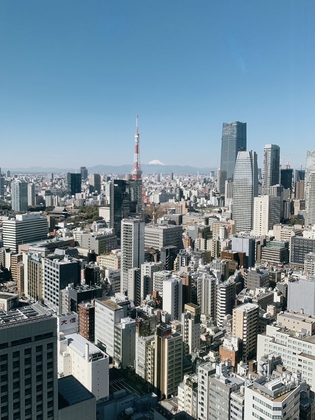 Tokyo Tower View at Park Hotel Tokyo