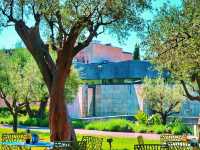 Visit Marc Chagall National Museum 