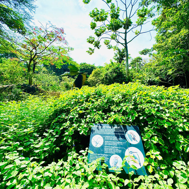 🇸🇬 Wetlands at Gardens by the Bay