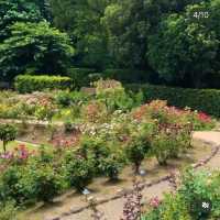 【福岡観光】色とりどりのお花が魅力的な植物園