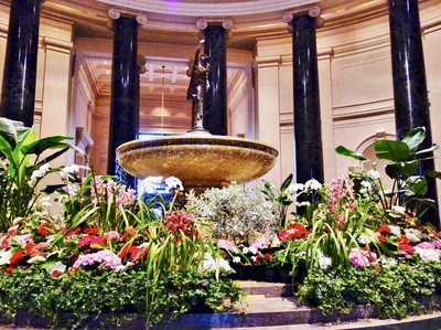 📍ワシントンDC 無料の美術館！？ | Trip.com ワシントンD.C.