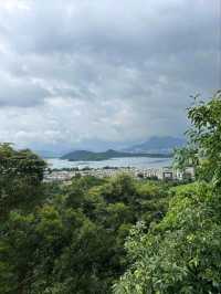 The Beautiful Scenery of Tsz Shan Monastery in Hong Kong
