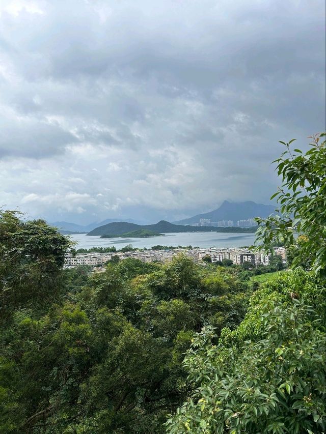 The Beautiful Scenery of Tsz Shan Monastery in Hong Kong