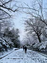 Hokkaido Jingu | Shinto shrine in Sapporo, Japan.