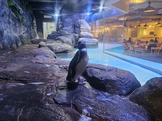 雅加達大型Mall內水族館