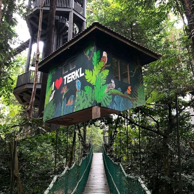 吉隆坡自由行：TERKL森林生態公園，感受城市寧靜