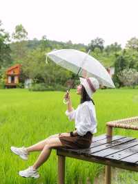Rainy Day - บ้านนาก๋างโต้ง คาเฟ่กลางทุ่งนา