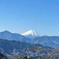 距離東京最近的自然景點！高尾山