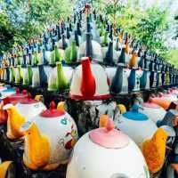 สัมผัสธรรมชาติเมืองลำปาง🌳