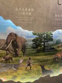 National Taiwan Museum🏛️