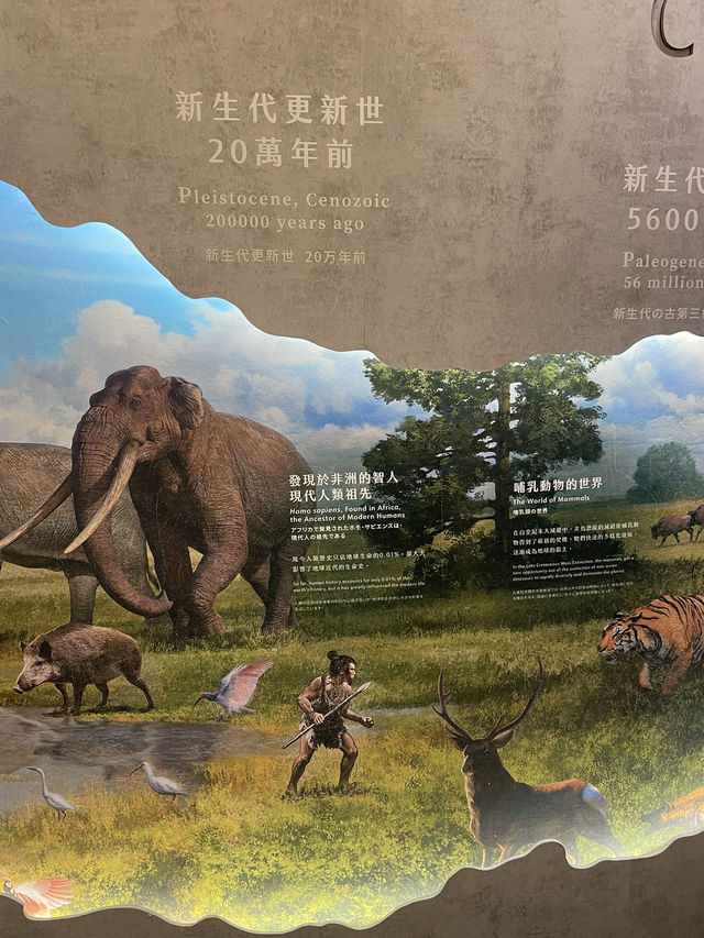 National Taiwan Museum🏛️