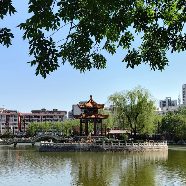 深圳中心公園：現代藝術、環保理念，多元化活動空間