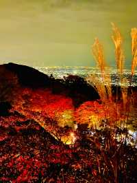 〜神奈川県〜夜景と紅葉両方楽しめるのはここだけ！大山阿夫利神社ライトアップ