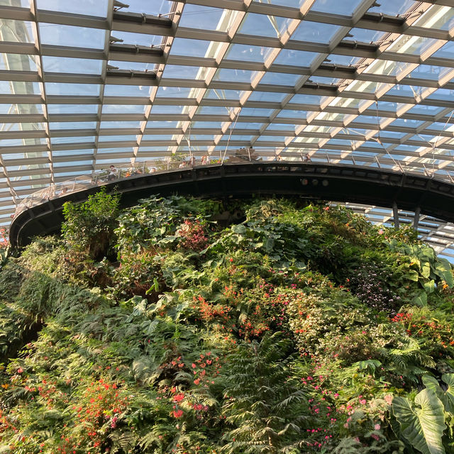 【新加坡景點】濱海灣花園雲霧森林玻璃屋：夢幻迷離的大自然美好，讓你流連忘返